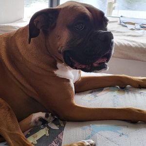 Meet your Posher, Alissa